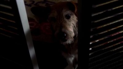 [ scratching softly ] - CSI: Crime Scene Investigation