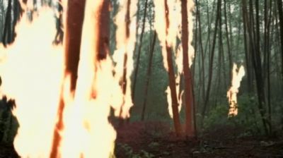 (screa ms) - The Dead Zone