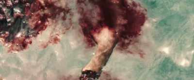 [Screaming] - The Requin