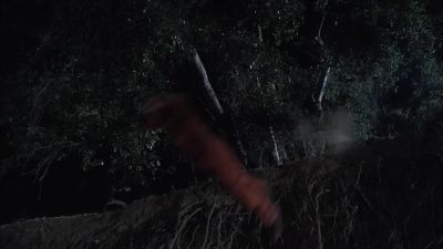 (SCREAMING) - Heroes