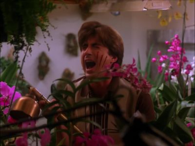 [SCREAMING] - Twin Peaks