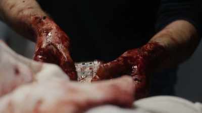 [screaming] - The Blacklist: Redemption
