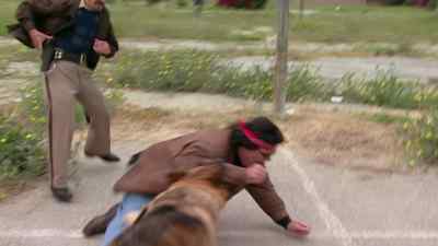 [screaming] - Reno 911!