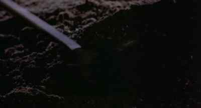 [Screaming] - Blood Simple