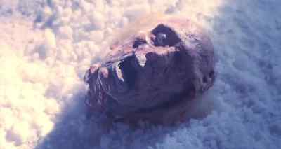 [SCREAMING] - Poltergeist III