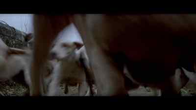 [Screaming] - The Final Conflict