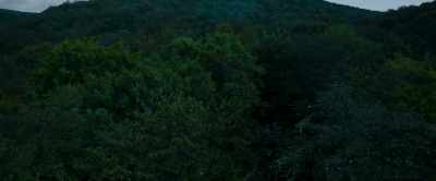[screaming] - The Strangers: Chapter 1