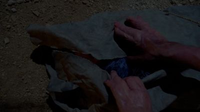 (screaming) - American Horror Story