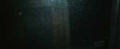 [screaming, wailing continue] - Paranormal Activity: Next of Kin
