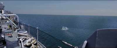 - [screams]
- Hard to starboard! - Megalodon: The Frenzy