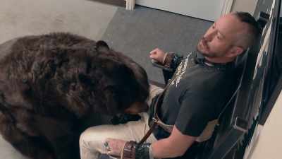 [screams] Oh, my God.
He's going for my dick. - Jackass Forever