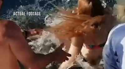 (screams) - Shark Attack Files