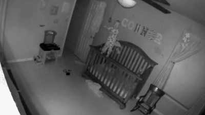 [ SCREAMS ] - Strange Evidence
