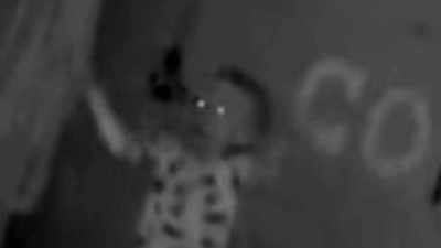 [ SCREAMS ] - Strange Evidence