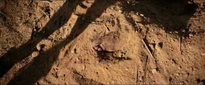 [screams] - Dead Ant
