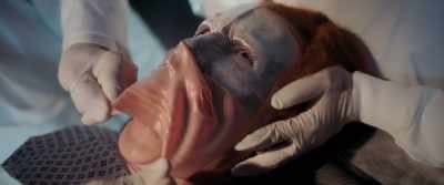 [screams] - The Man Who Fell to Earth
