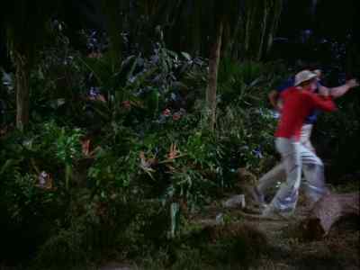 [SCREECHES] - Gilligan's Island