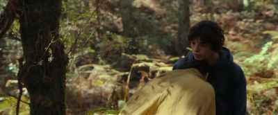 (screeches) - The Animal Kingdom
