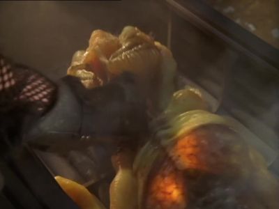(screeching) - Farscape