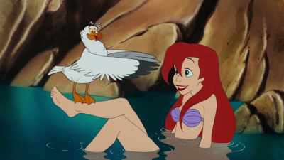 [Scuttle laughs] - The Little Mermaid Live!