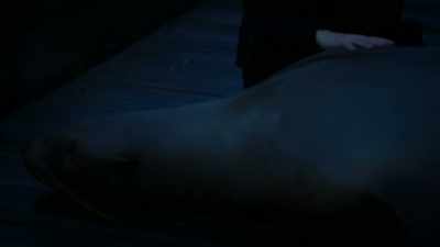 [sea lion breathing] - Siren