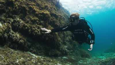 Seagrass, however, is easily
destroyed by human disturbance. - The Green Planet