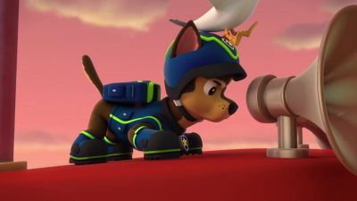 (Seagull screeching) - PAW Patrol