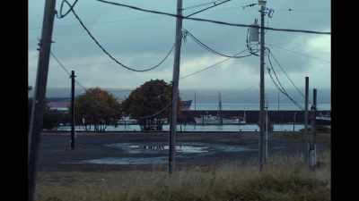 (seagulls calling) - Sometimes I Think About Dying