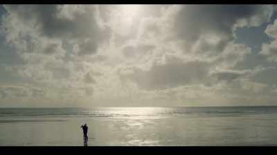 (SEAGULLS CAW) - Far North