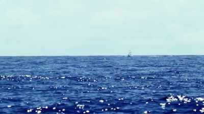 [seagulls cawing] - Deadliest Catch: Bloodline
