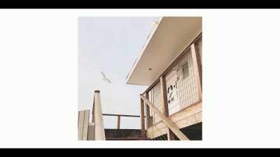 [ Seagulls crying ] - Generation Hustle
