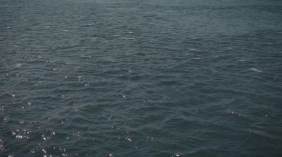 (seagulls screeching) - Game of Thrones