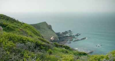 [SEAGULLS SQUAWK] - The Guernsey Literary and Potato Peel Pie Society