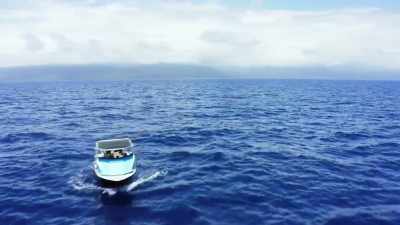 [seagulls squawking] - Deadliest Catch: Bloodline