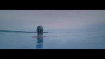 [SEAL HOWLS] - The Outrun