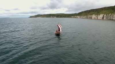 Seals are special to the Vikings - Wild Ways of the Vikings