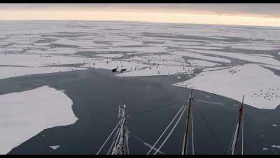 -[SEALS SQUEAL]
-[GUNFIRE] - The North Water
