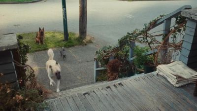 SEAMUS We're on an epic quest Through foreign lands - Cats &amp; Dogs: The Revenge of Kitty Galore