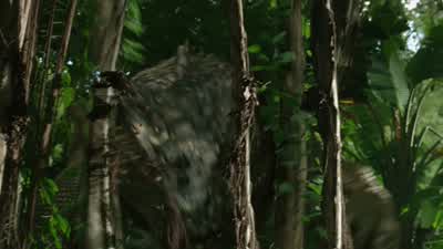 Hey GodzillaOh crap - Journey 2: The Mysterious Island