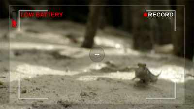 Sean: If you lose
your focal point, - When Nature Calls with Helen Mirren