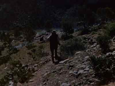 Search everywhere. He can't be far. - Branded