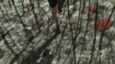 Searching in the ash is a grubby
business. - The Green Planet