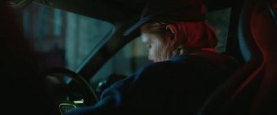 SEAT BELT REMINDER DINGS - Peacock