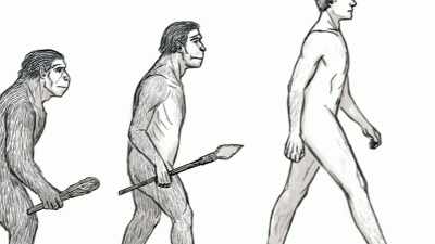 Second was Darwin’s finding that
we’re not particularly different - Ariel Phenomenon