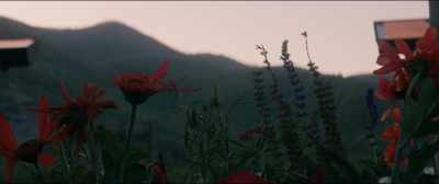 Second, I got to admit, Mildred, - Three Billboards Outside Ebbing, Missouri