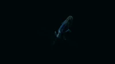 Second, I'm here. - Legacies