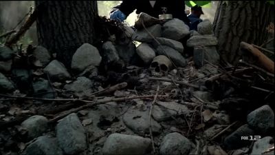 Second skull. - Bones