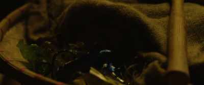 Second stanza, glass. - Kickboxer: Vengeance