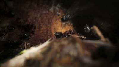 Secret safe houses... - Super/Natural