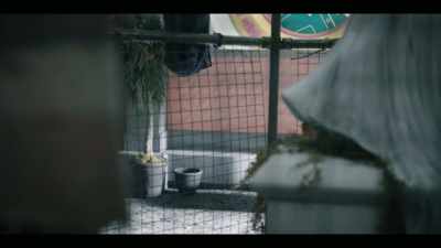 Secured allotments
of fresh produce - Utopia Falls